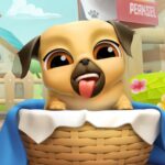 Aking Cute Puppy Grooming 3D